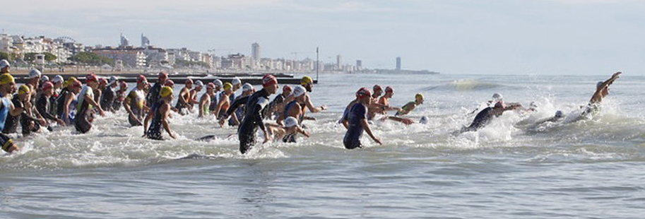 Ligerteam Tesseramenti 2026